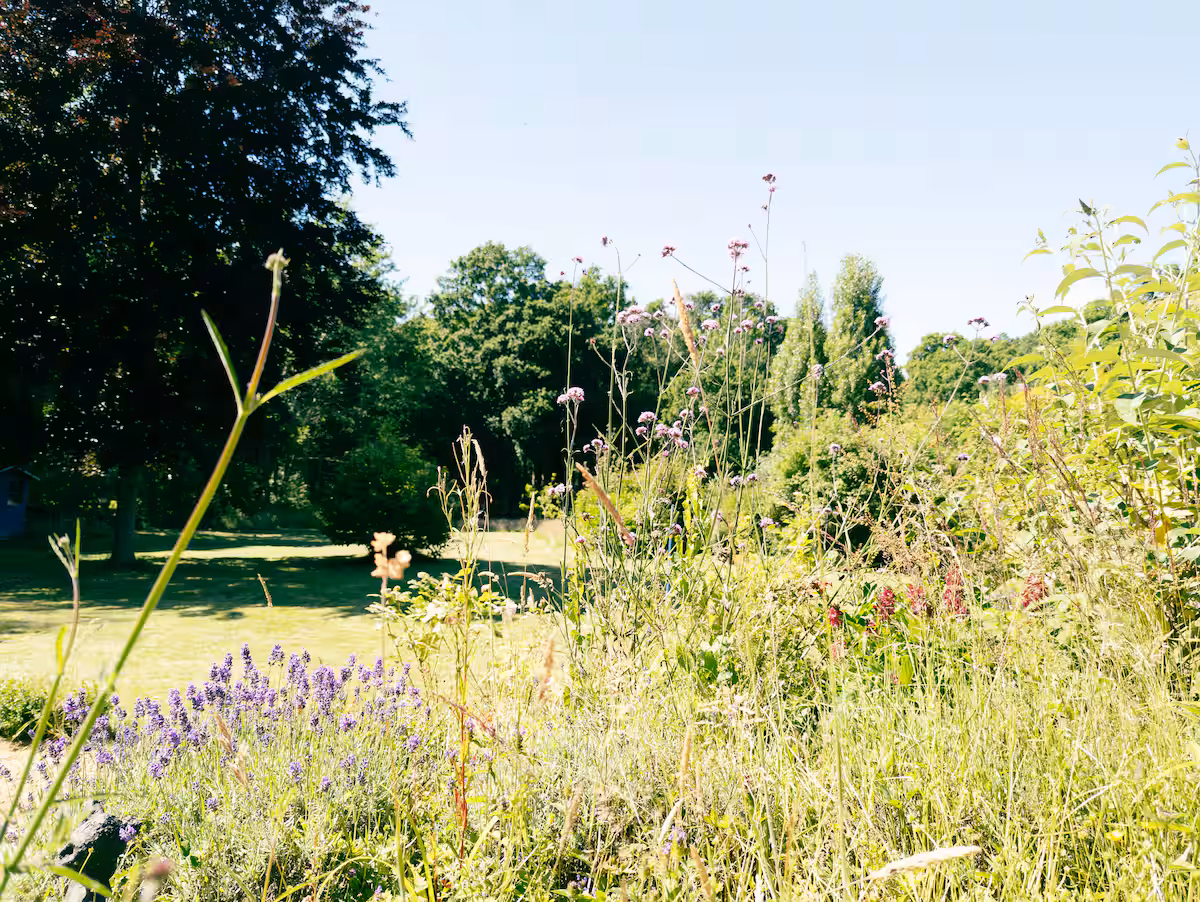 The Larch House exterior
